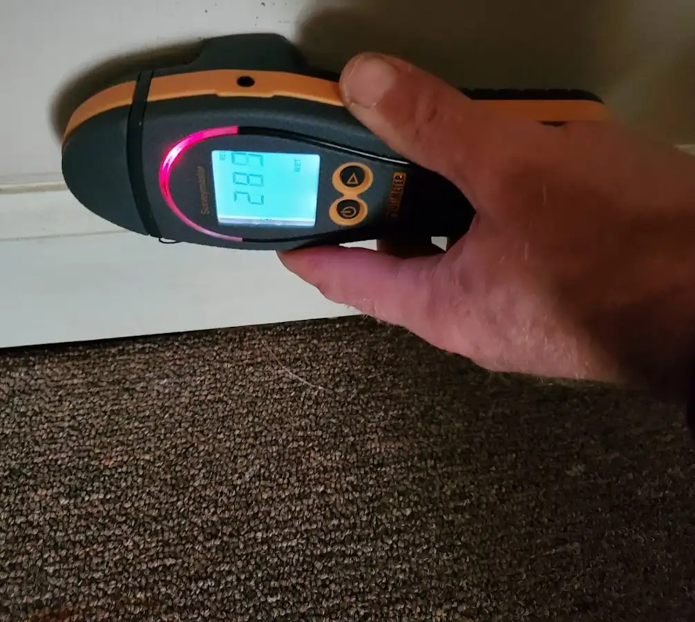 Moisture detection at baseboard during Mold Inspection & Testing in Shawano